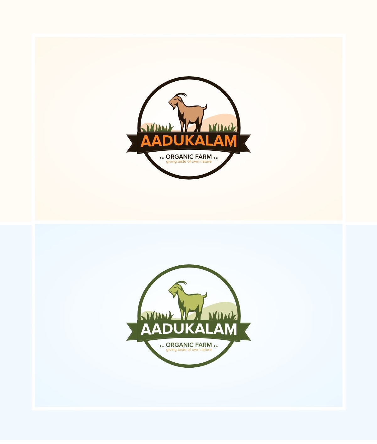 Branding preview