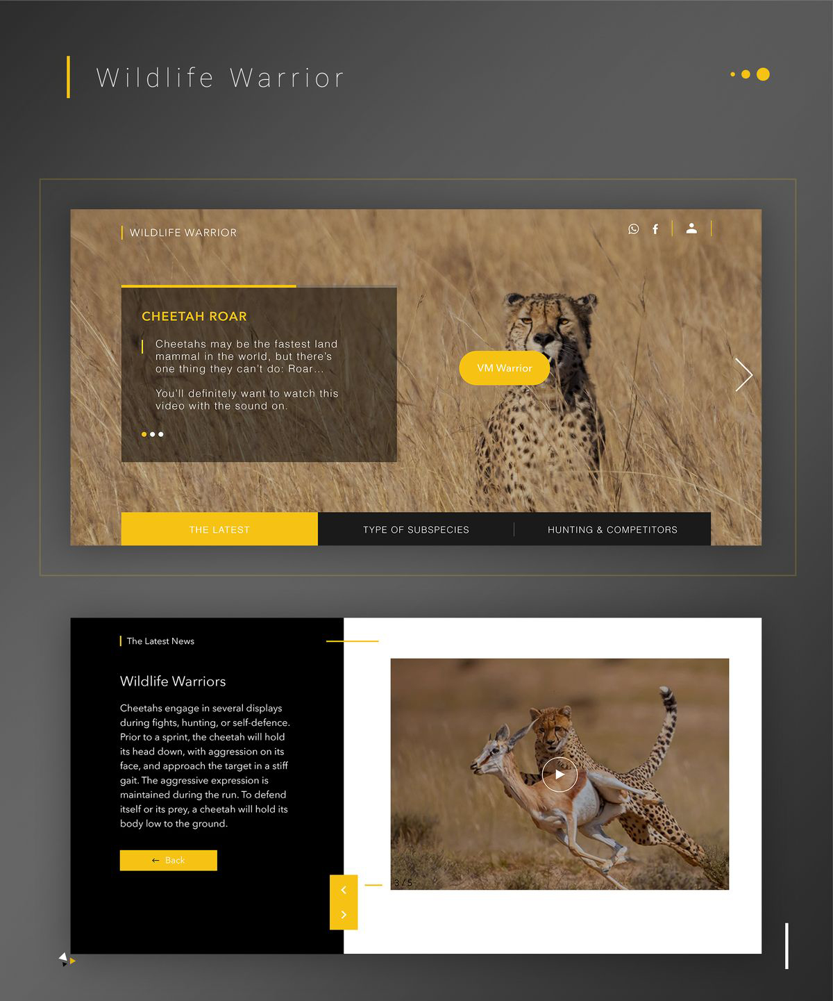 Landing page preview